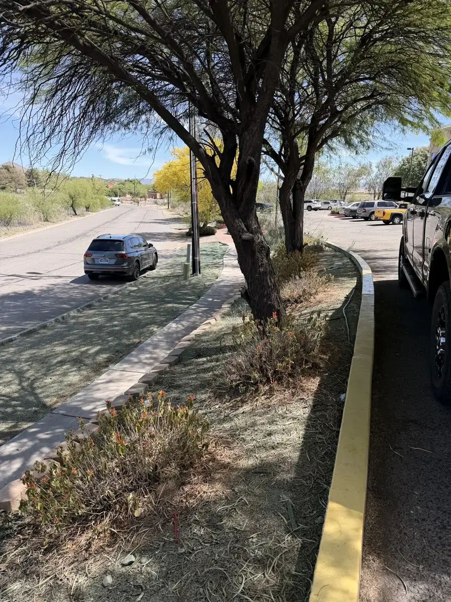 Apartment Complex — Nogales weed control property