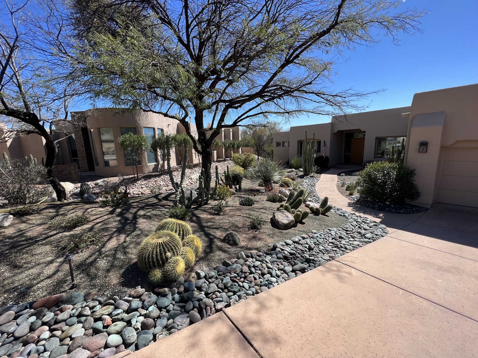 Southern Arizona home with desert landscaping, cactus, and a gravel yard