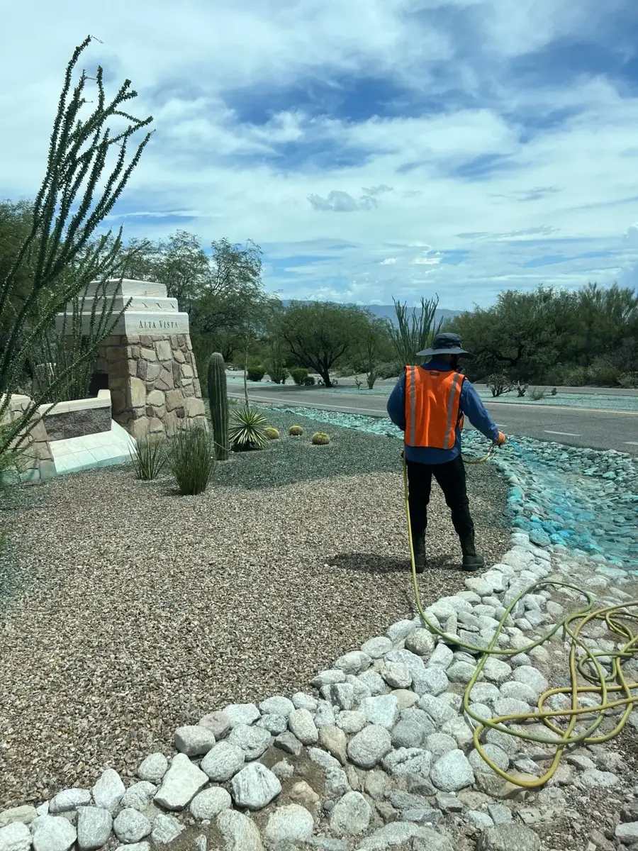 HOA property in Green Valley