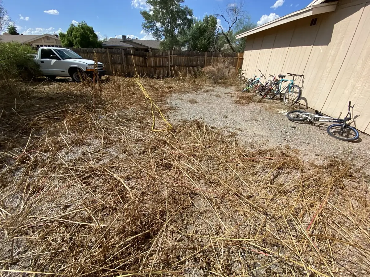 Residential property before weed control