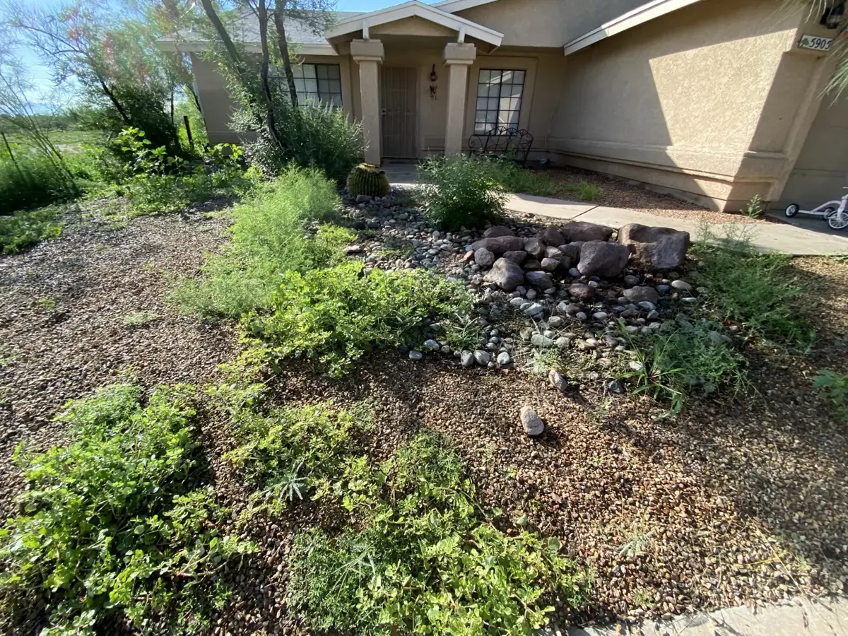 Residential property before weed control