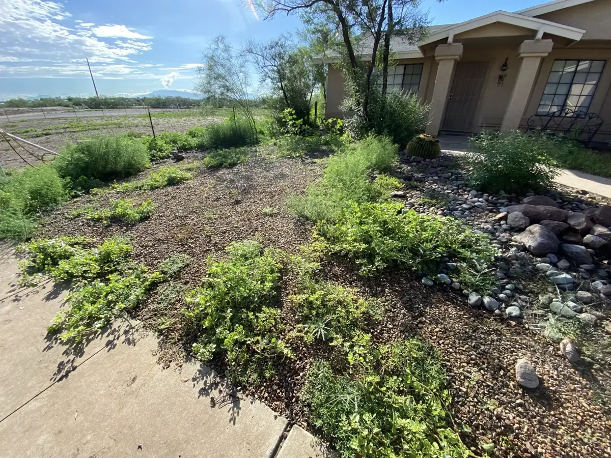 Residential property in Southern Arizona