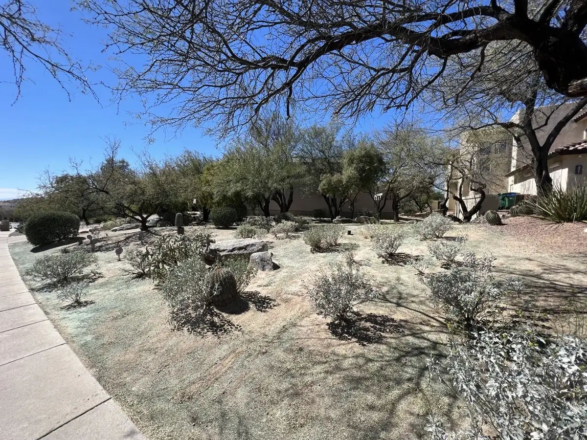 Residential property in Southern Arizona