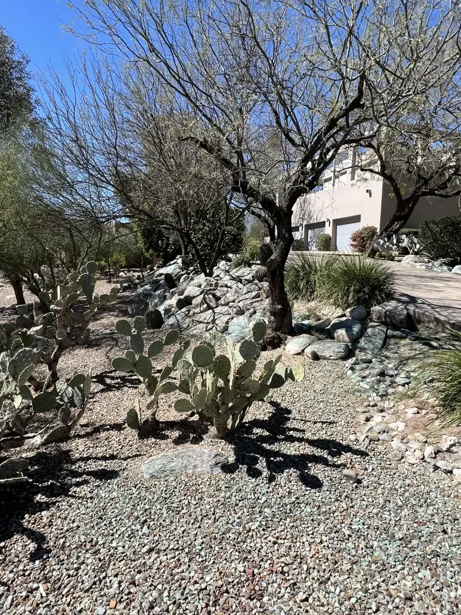 Residential property in Southern Arizona
