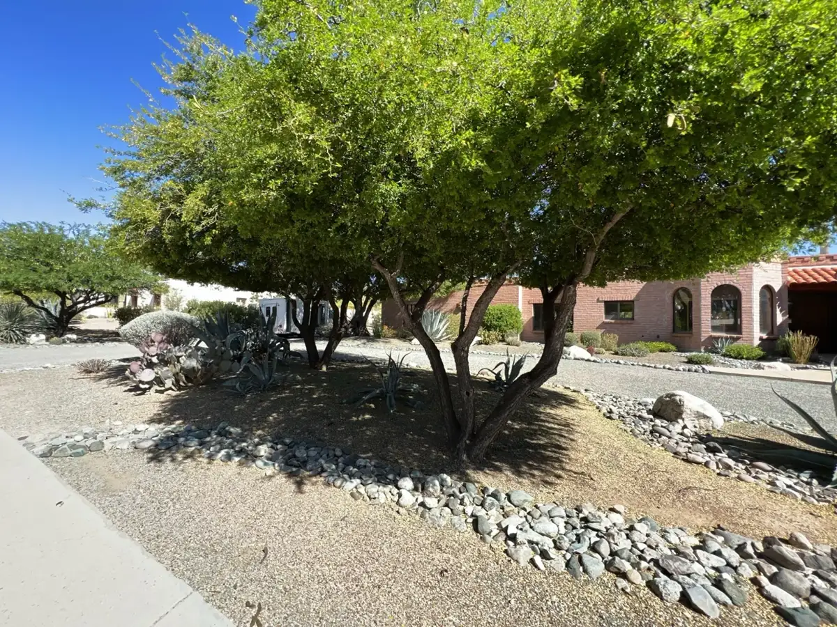 Residential property in Southern Arizona