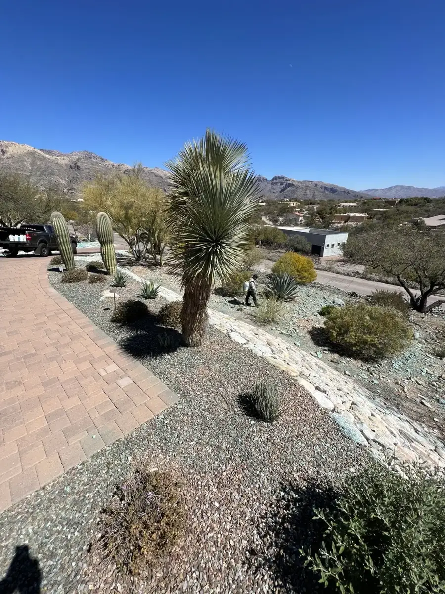 Residential property in Southern Arizona