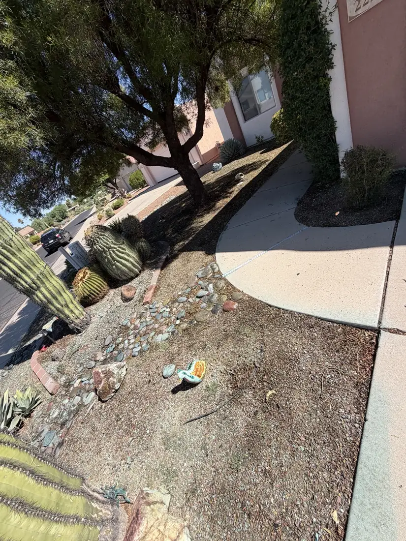 Residential property in Southern Arizona