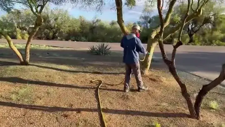 AZ Best Weed Control field work